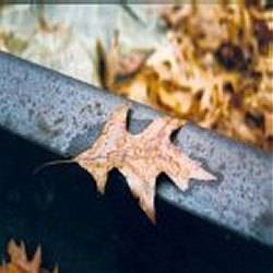 Fragile Hollow : Fragile Prologue